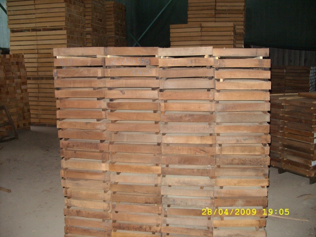 pareni_orah